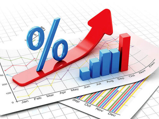 افزایش قیمت قارچ
