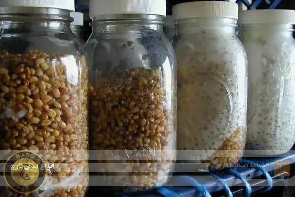 با انواع اسپان قارچ انواع بذر قارچ آشنا شوید.