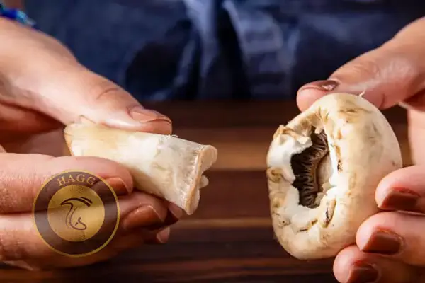 چگونه ساقه‌ قارچها را جدا کنیم؟