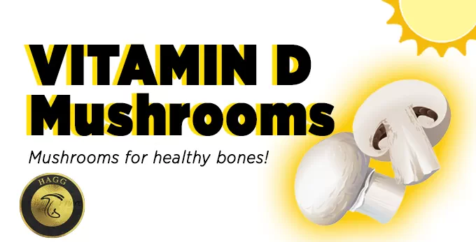 ویتامین d در قارچ خوراکی