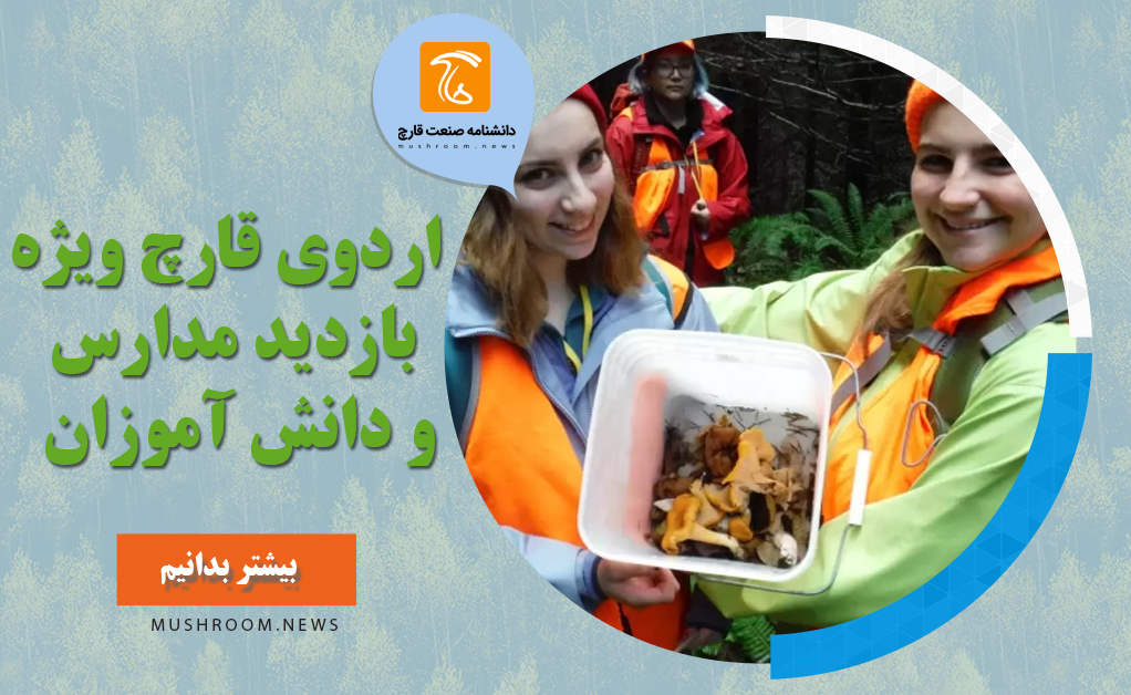 اردوی قارچ مناسب برای دانش آموزان