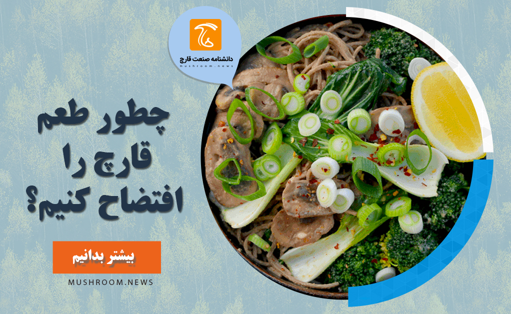 طعم خوب قارچ