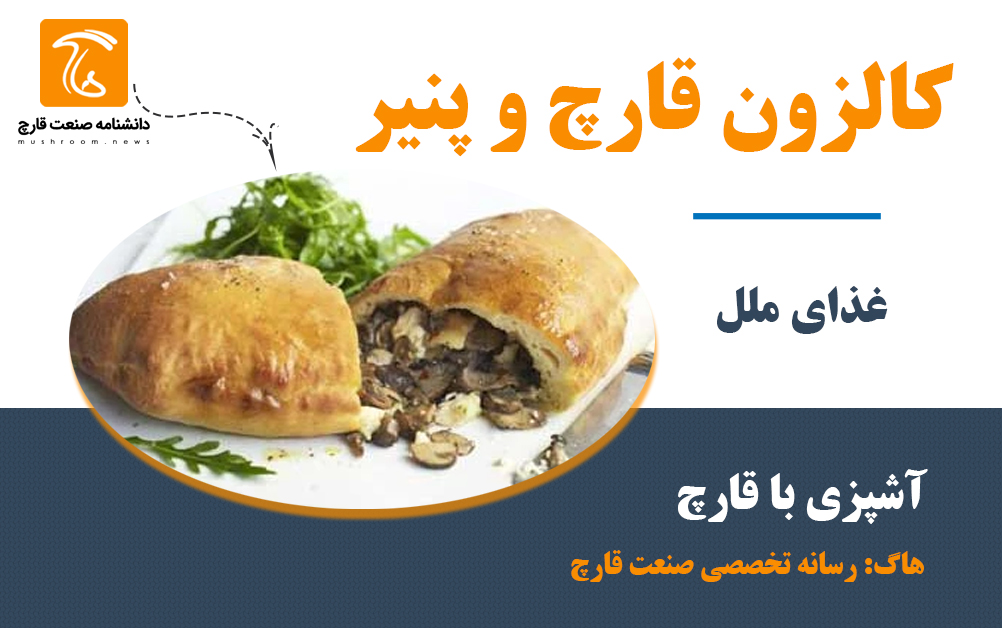کالزون قارچ و پنیر بسیار لذیذ و حاوی منابه مورد نیاز بدن است