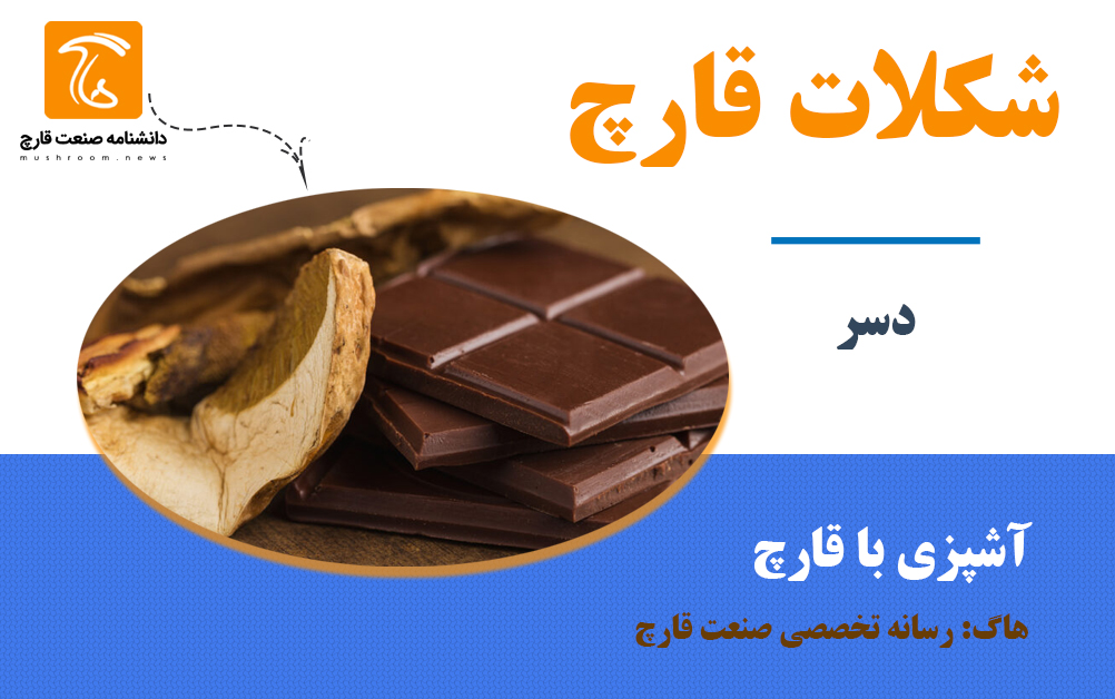 طرز تهیه شکلات قارچ یک دسر ایده‌آل و سرشار از پروتئین