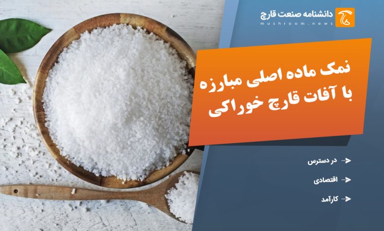 نمک ماده اصلی مبارزه با آفات قارچ خوراکی