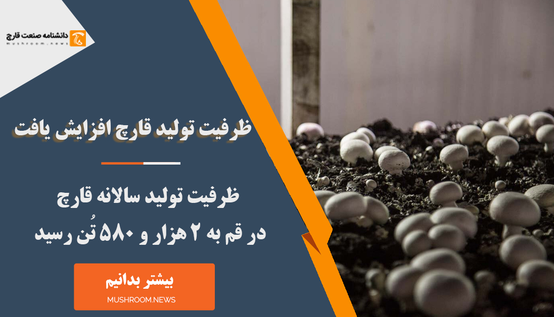 ظرفیت تولید قارچ