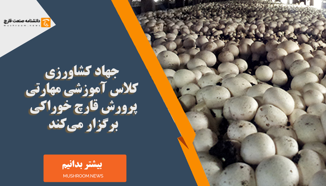برگزاری کلاس آموزشی مهارتی پرورش قارچ خوراکی