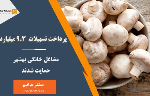 تسهیلات پرورش قارچ