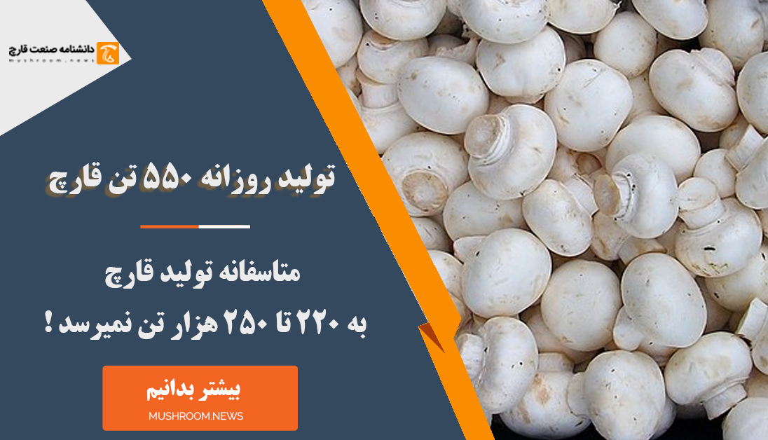 تولید قارچ