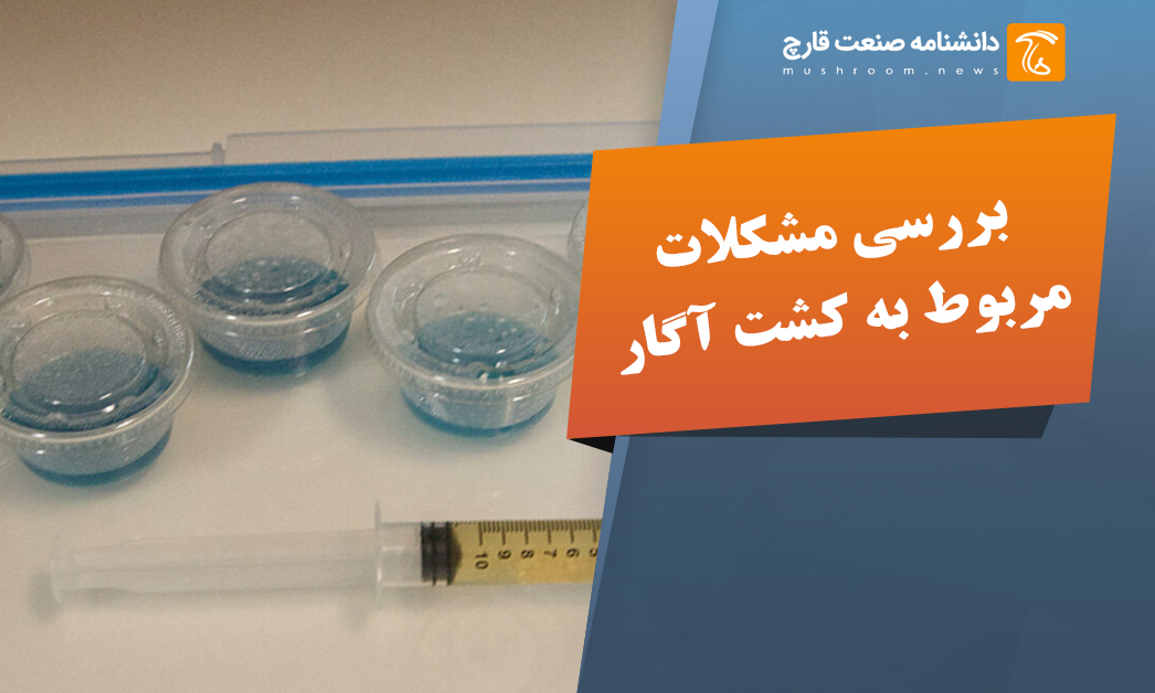 بررسی مشکلات کشت آگار و اگار پلیت