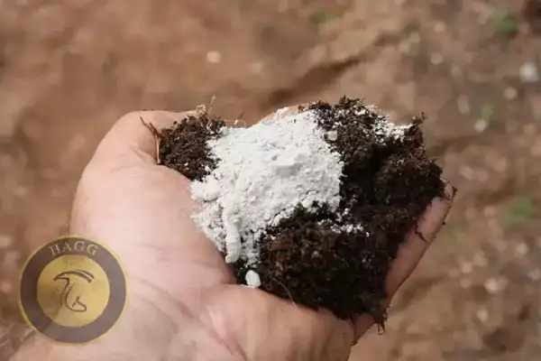 اهداف و دلایل استفاده از سنگ گچ در کمپوست‌سازی