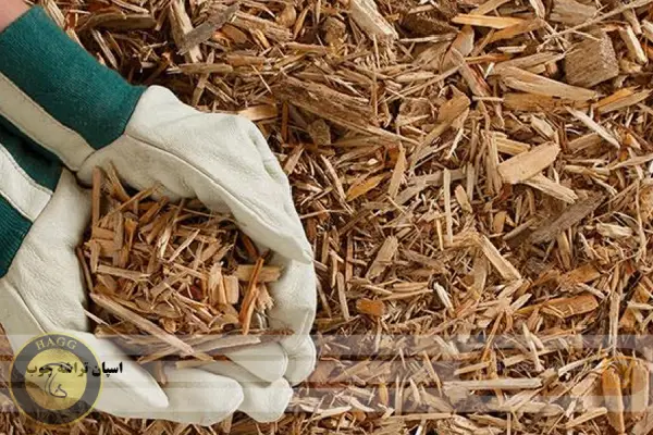 اسپان تراشه چوب انواع بذر قارچ