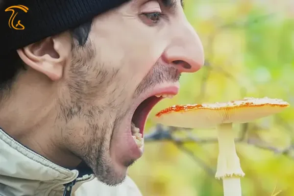 خوردن قارچ سمی در رویا