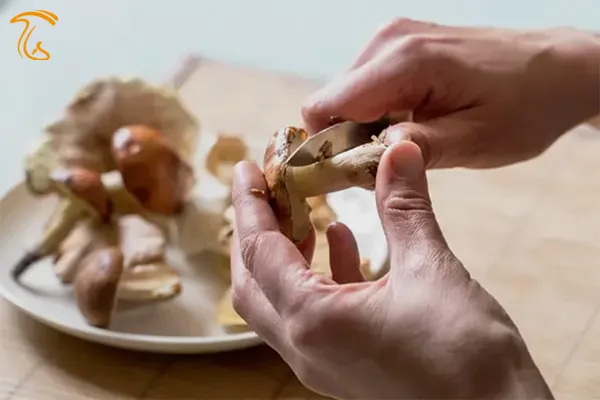 تمیز کردن قارچ