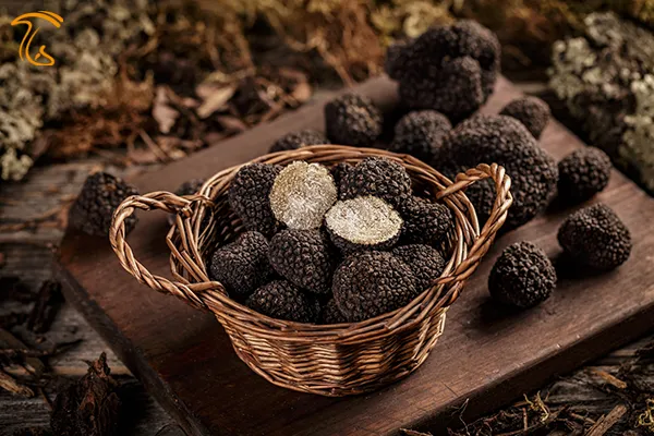 تعبیر رویای قارچ گرانقیمت