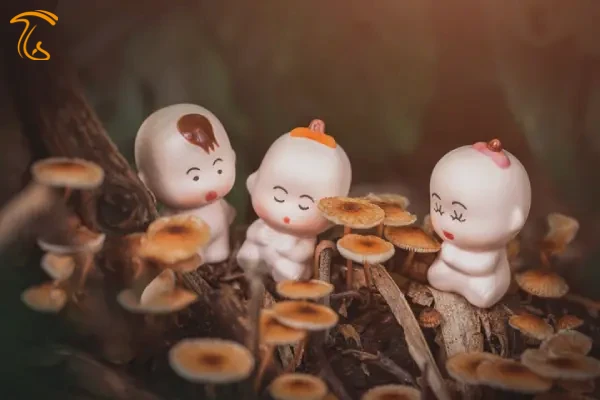 خواب قارچ به طور عمومی