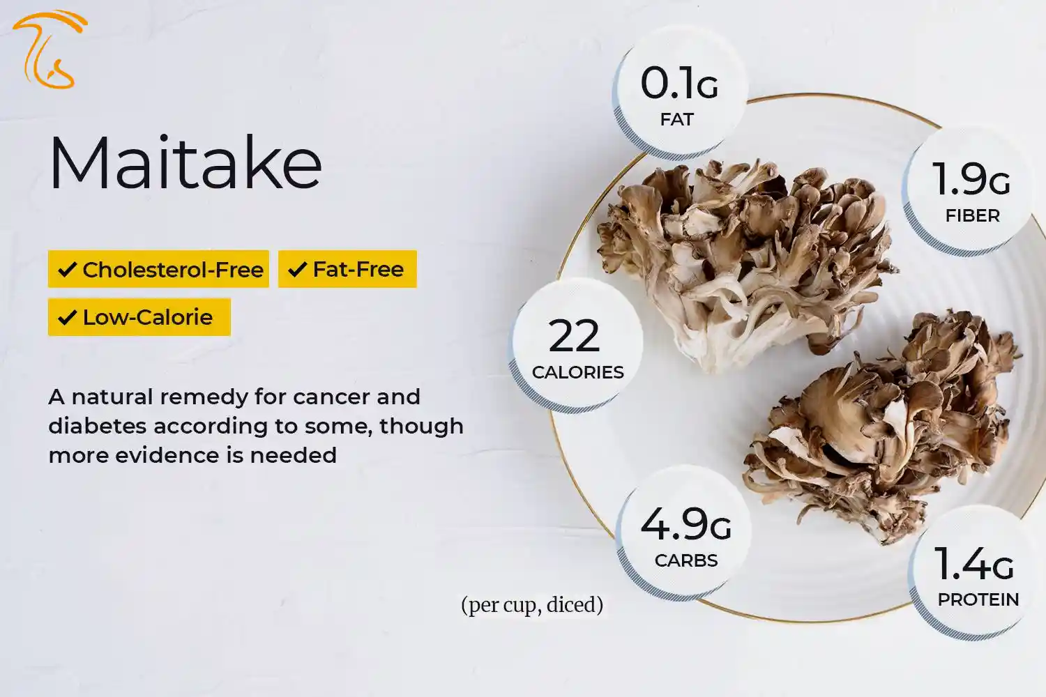 خواص قارچ میتاکه قارچ مایتاکه چیست