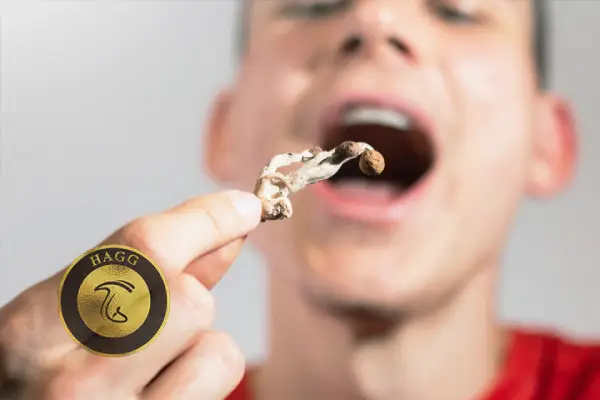 خوردن قارچ در رویا