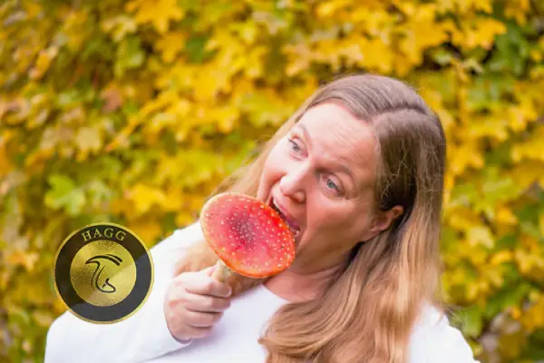 خوردن قارچ در رویا