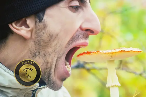 خوردن قارچ سمی در رویا