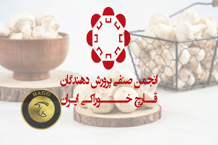 واکنش انجمن صنفی پرورش دهندگان قارچ خوراکی ایران به گرانی قیمت قارچ نسبت به مرغ