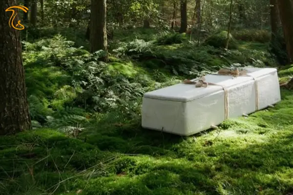 تدفین سازگار با محیط زیست از میسلیوم قارچ