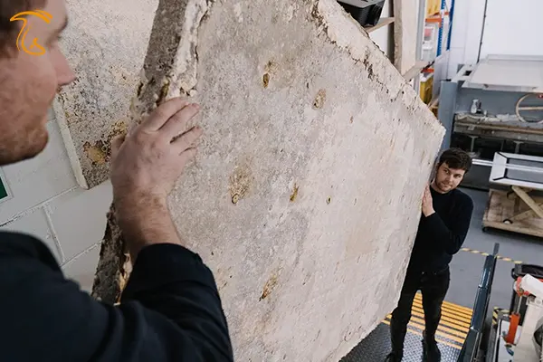 کاربرد میسلیوم قارچ برای عایق