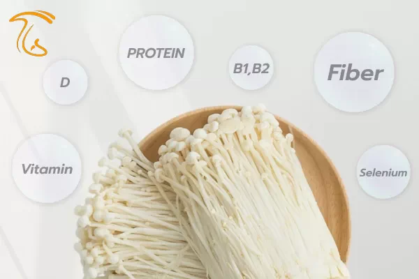 برخی از فواید قارچ انوکی