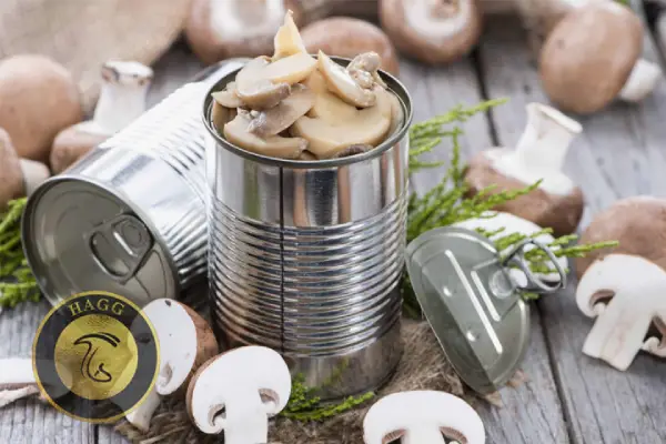 کنسرو قارچ از جمله صنایع تبدیلی قارچ است