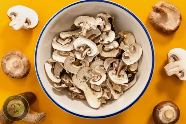اسلایس قارچ خشک‌