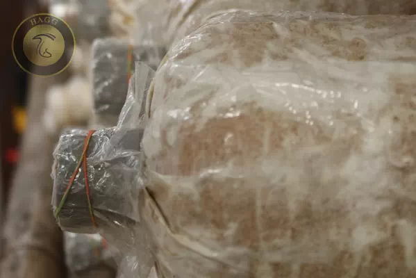 کیسه های کمپوست قارچ گانودرما