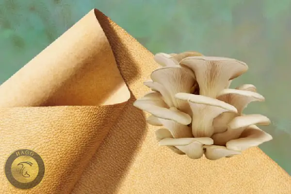 محصولات چرمی تولید شده از قارچ