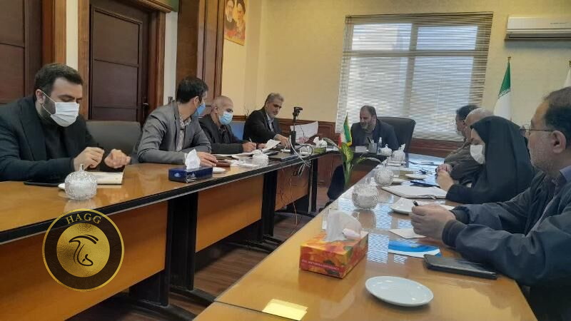 کارخانه قارچ صحرایی