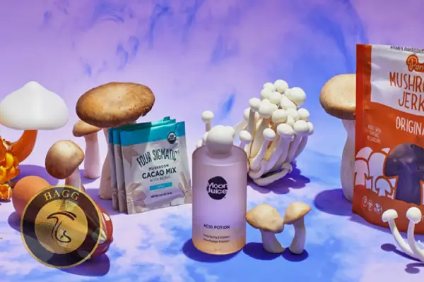 صنایع تبدیلی قارچ