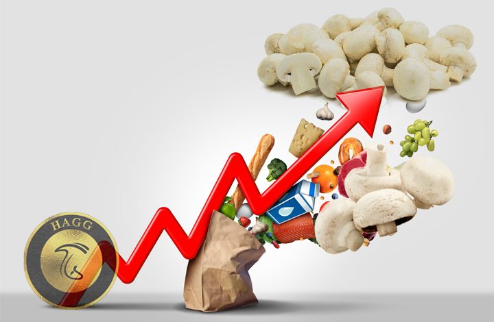 افزایش قیمت قارچ خوراکی