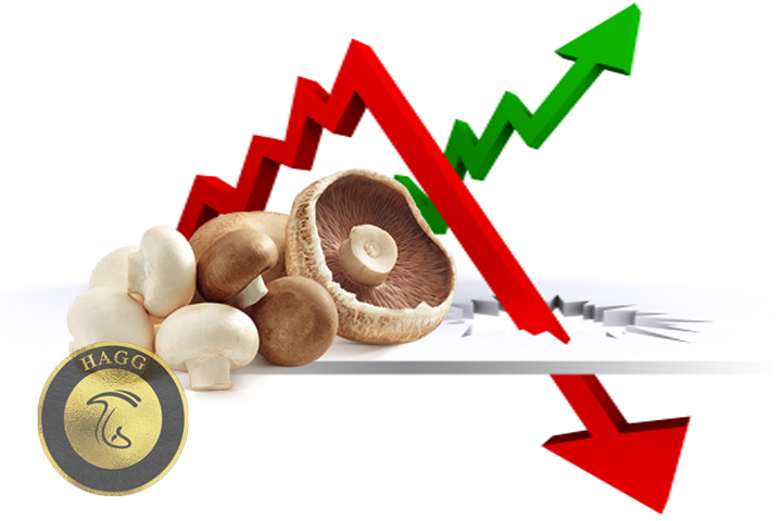 اثر مازاد قارچ بر قیمت قارچ در بازار