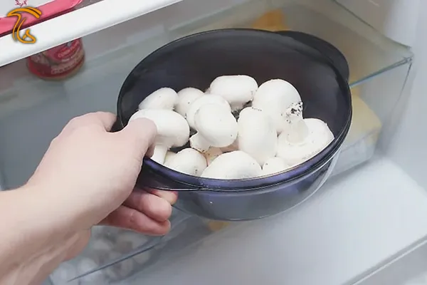 روش نگهداری قارچ خام در یخچال