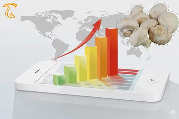 نمودار و میانگین قیمت قارچ سال 1401