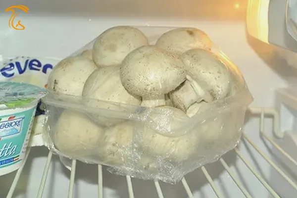 نگهداری قارچ در یخچال