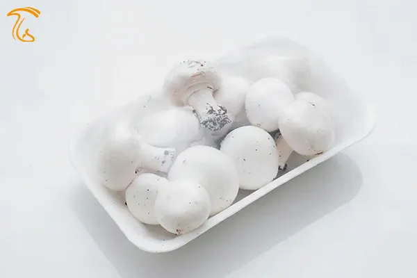 نکات مهم در خرید قارچ برای نگهداری در یخچال