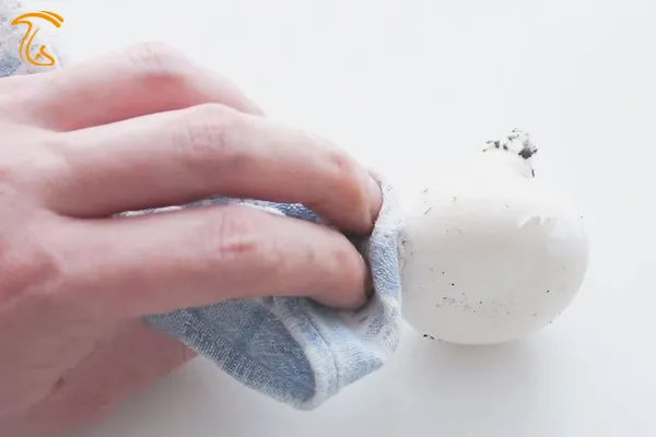 ممنوعات نگهداری قارچ