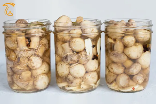 نحوه تهیه شور قارچ