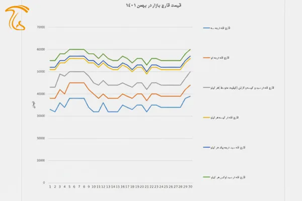 نمودار قیمت قارچ در بهمن ماه ۱۴۰۱