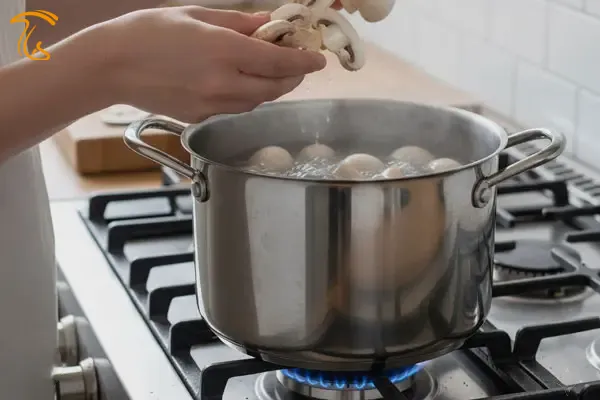 ماندگاری طولانی قارچ با طعم و رنگ خوب بلانچ قارچ در شیشه