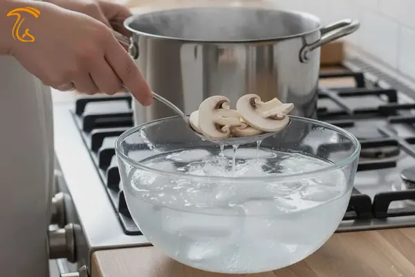 چیکار کنیم تا قارچ‌هایمان را طولانی و تازه نگه داریم؟ 