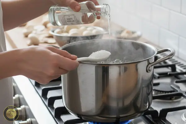 روشی ساده برای ماندگاری طولانیمدت قارچ. بلانچ قارچ با سرکه