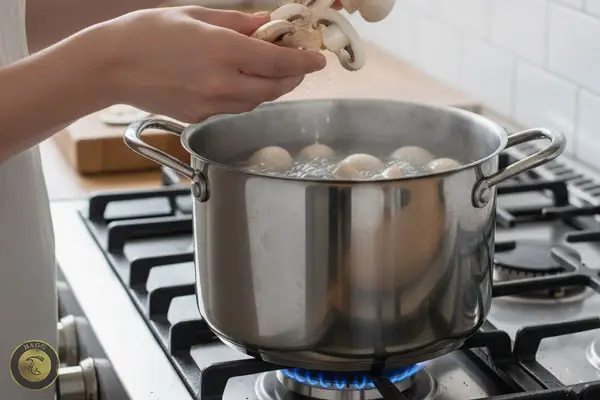 ماندگاری طولانی قارچ با طعم و رنگ خوب بلانچ قارچ در شیشه