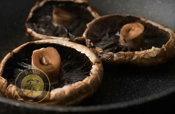 قارج پرتوبلو راهنمای تخصصی پخت قارچ های خوشمزه
