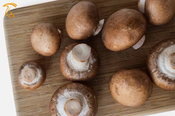 قارچ قهوه ای خوراکی یا کرمینی Crimini، معروف به شامینیون