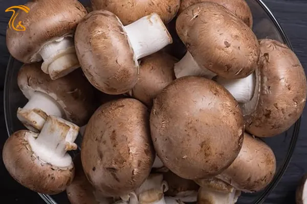 ارزش غذایی و خواص قارچ قهوه ای خوراکی